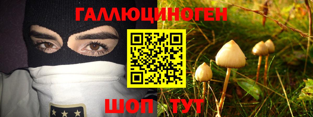 Галлюциногенные грибы прущие грибы  Галлюциногенные грибы прущие грибы  Вход с VPN  Ставрополь 