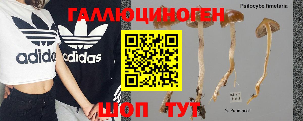 Галлюциногенные грибы Magic Shrooms Ставрополь
